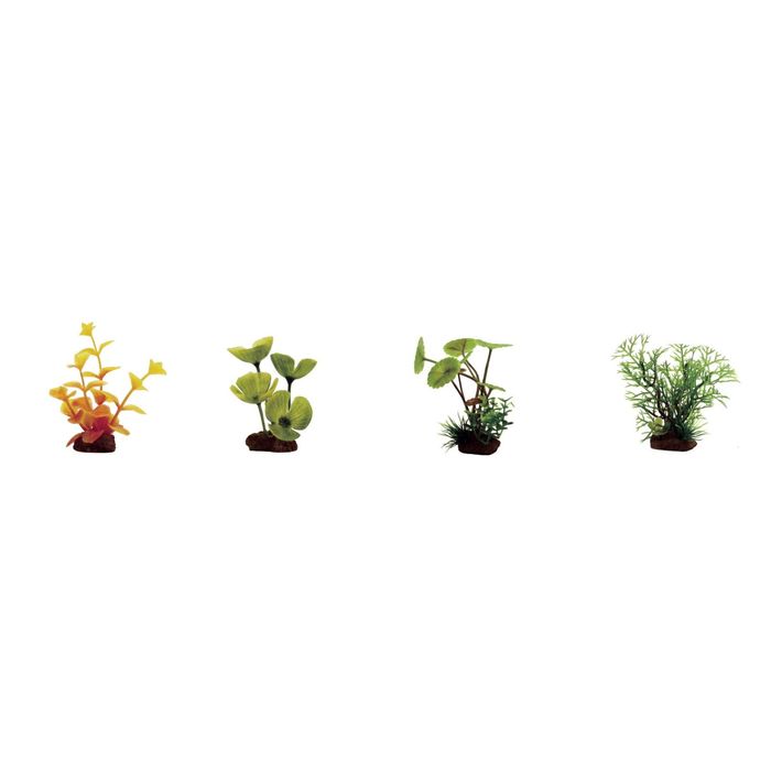 Набор искусств. раст."Лизимахия, Марсилия, Щитолистник, Перистолистник", 7-10 см, 4 шт