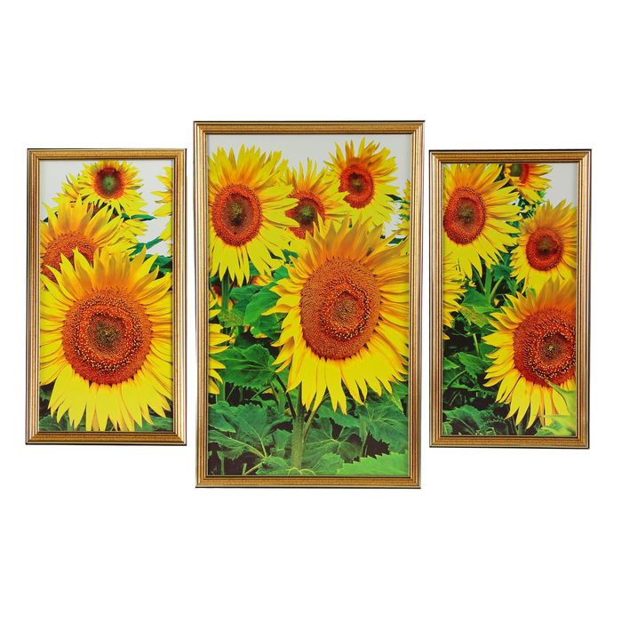 Модульная картина в раме "Подсолнухи"