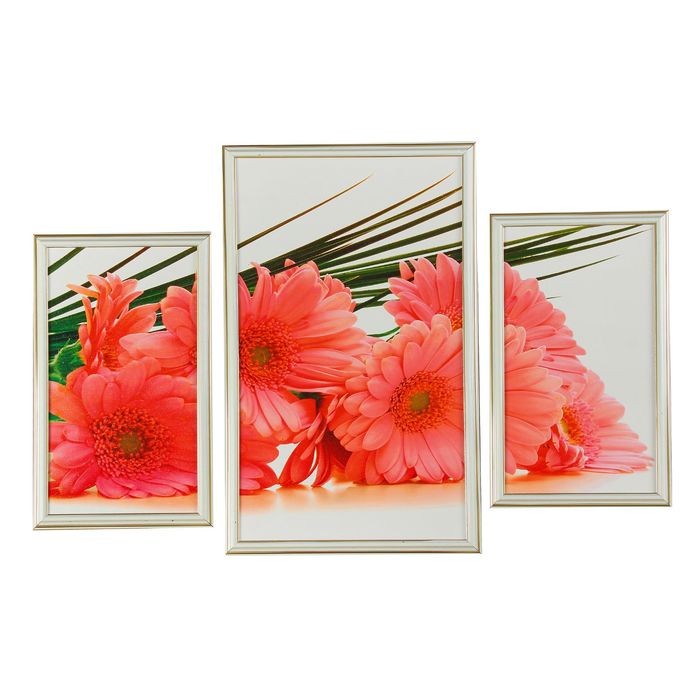 Модульная картина в раме "Герберы", 20×35 — 2, 30×50 — 1, 50×70 см