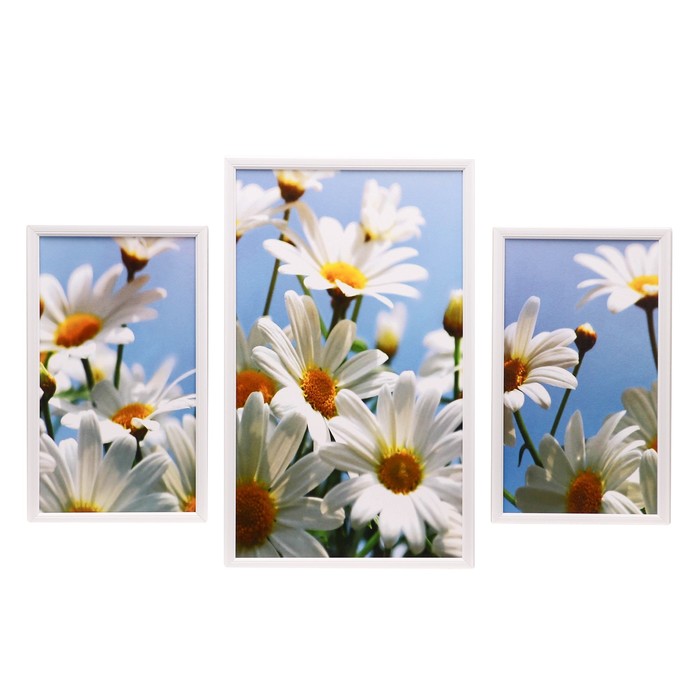 Модульная картина в раме "Ромашковое небо", 20×35 — 2, 30×50 — 1, 50×70 см