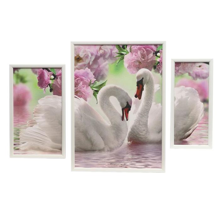 Модульная картина в раме "Два лебедя"