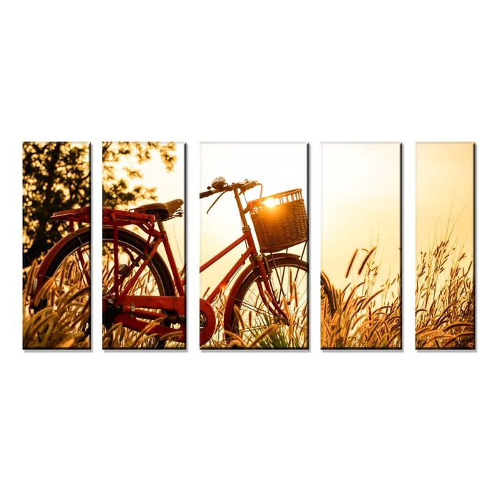 Модульная картина "Велосипед в солнечных лучах"