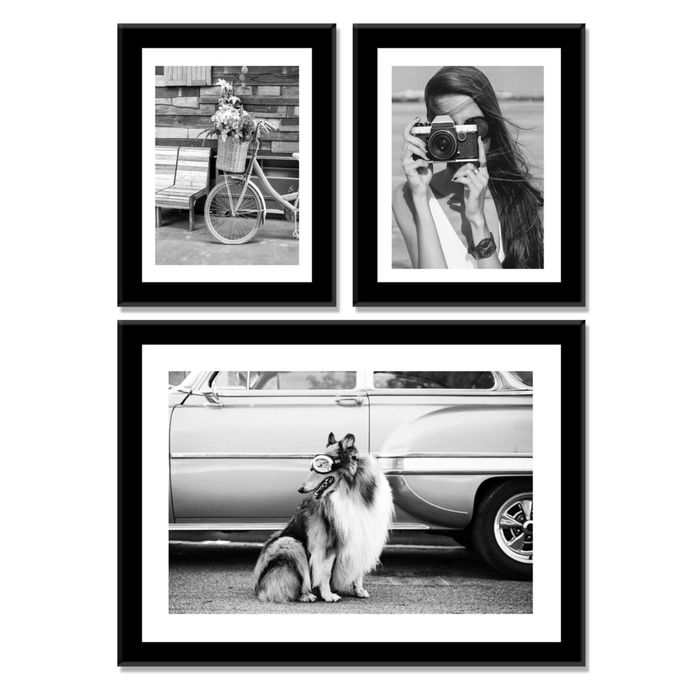 Модульная картина "Коллаж: велосипед, девушка и собака"