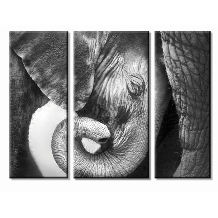 Модульная картина "Слонёнок"