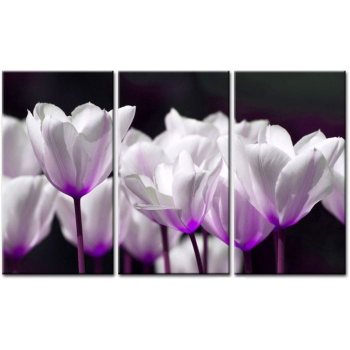 Модульная картина "Бело-фиолетовые тюльпаны"