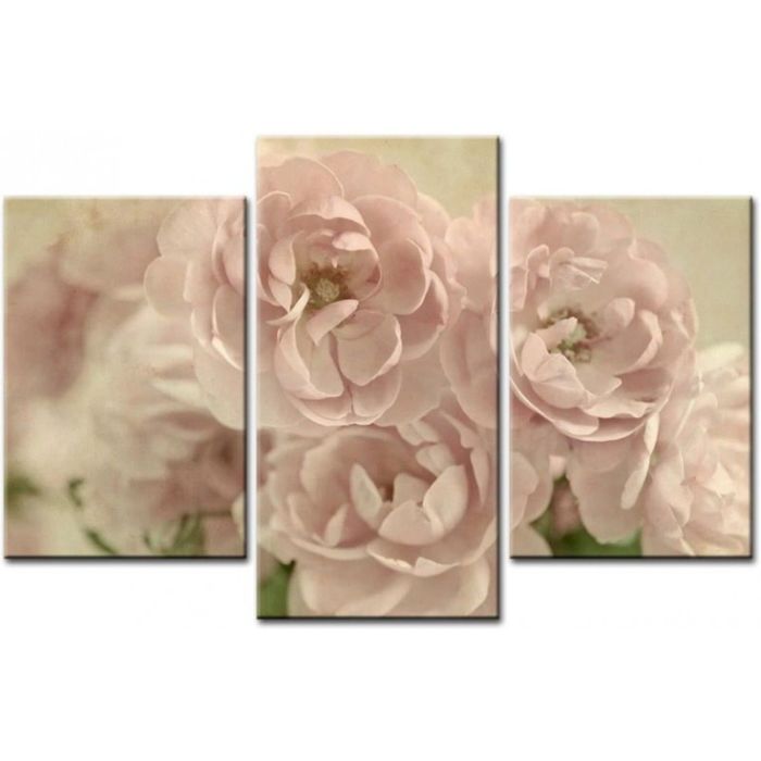 Модульная картина "Нежно-розовый шиповник"