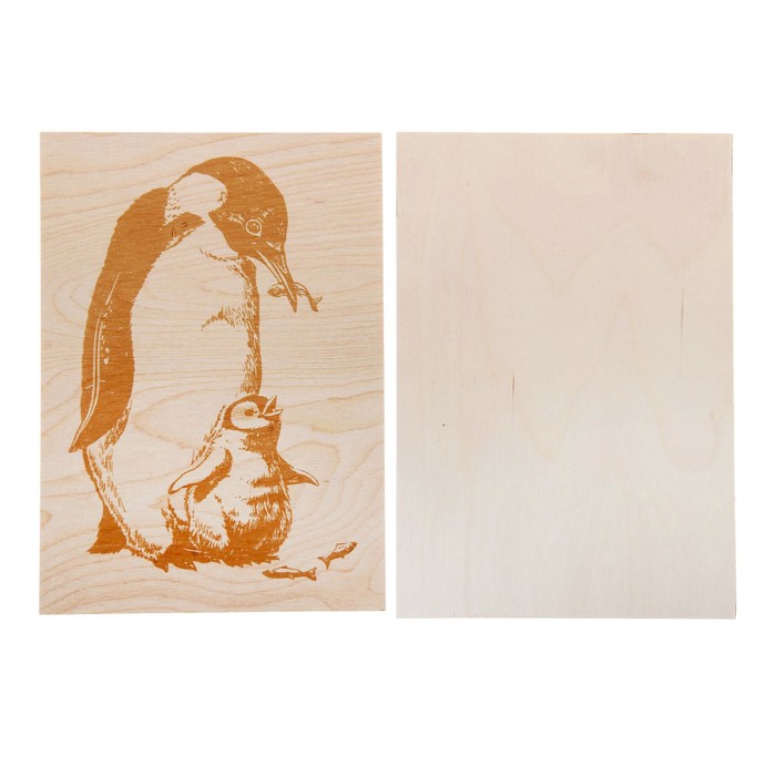 Доски для выжигания "Пингвины" 2 шт., в рамке