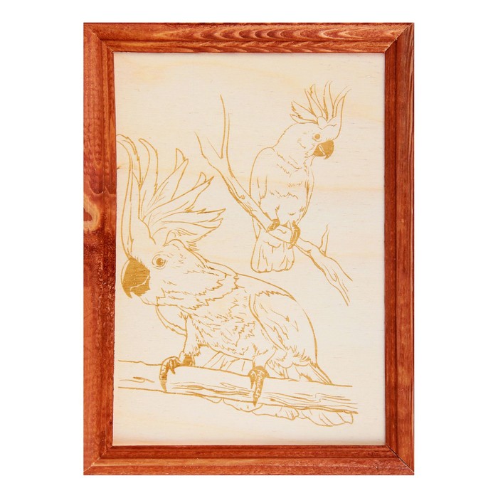 Доски для выжигания "Какаду" 2 шт., в рамке