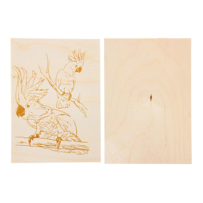 Доски для выжигания "Какаду" 2 шт., в рамке