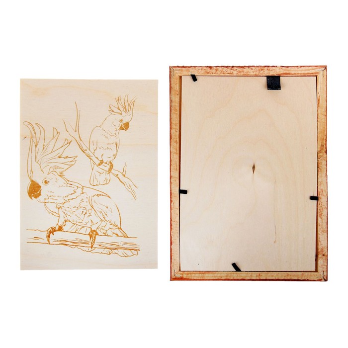 Доски для выжигания "Какаду" 2 шт., в рамке