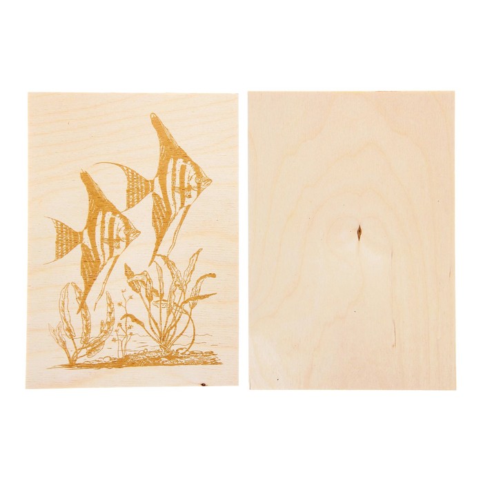 Доски для выжигания "Скалярии" 2 шт., в рамке