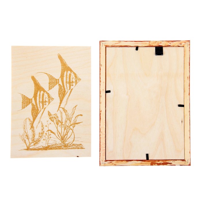 Доски для выжигания "Скалярии" 2 шт., в рамке
