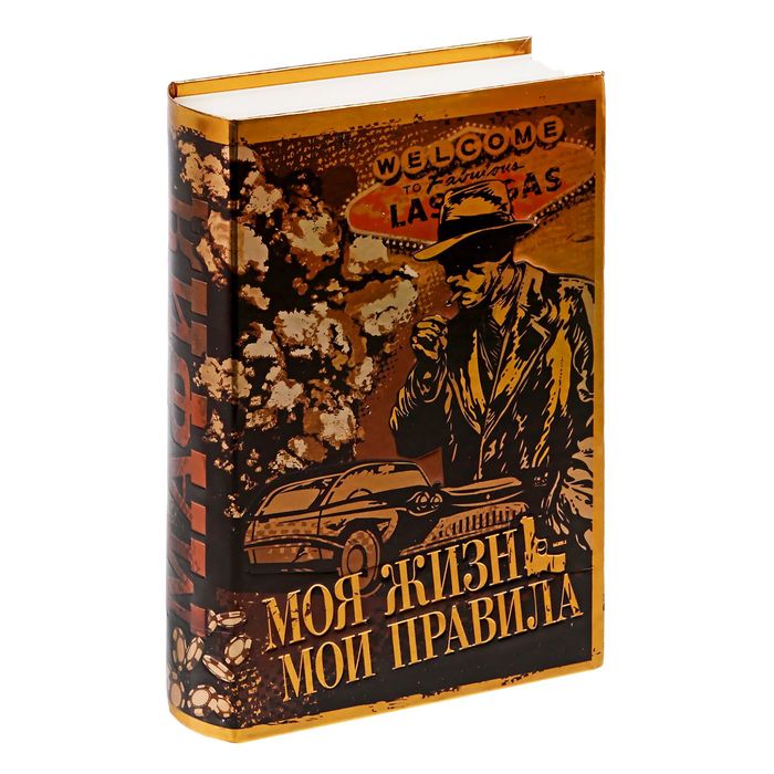 Книга-сейф "Моя жизнь - мои правила"