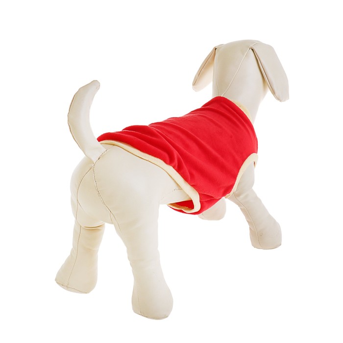 Кофточка Велюр, размер M (ДС 24см, ОШ 26см, ОГ 36см)