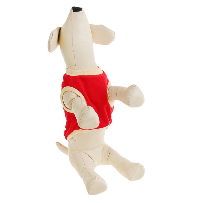 Кофточка Велюр, размер L (ДС 28см, ОШ 28см, ОГ 40см)