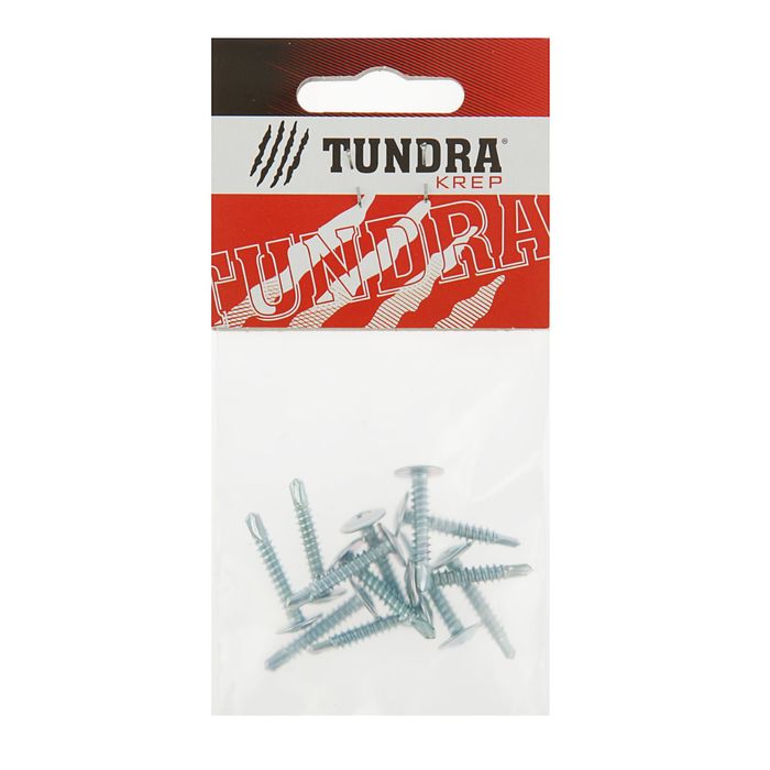 Саморезы с прессшайбой TUNDRA krep, 4.2х25 мм, сверло, 12 шт.