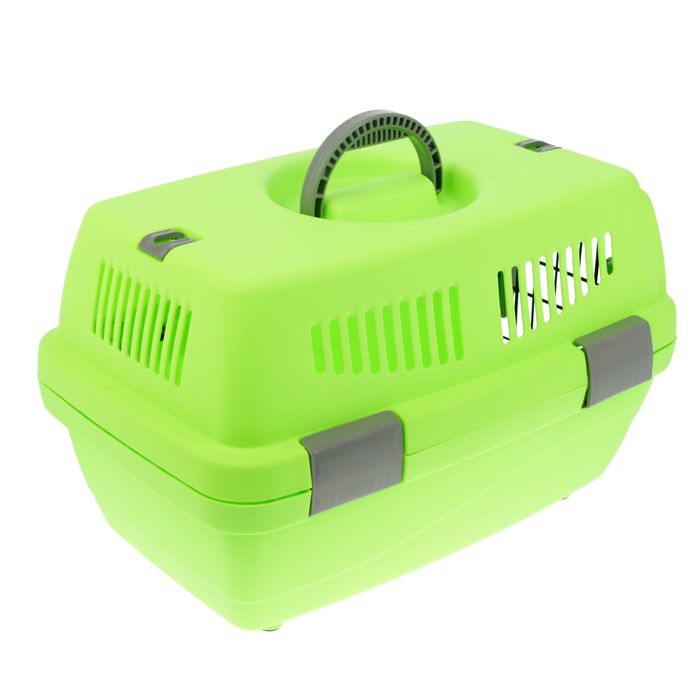 Переноска пластиковая "Неон", 48 х 32 х 29,5 см, вес животного до 5 кг, зеленая