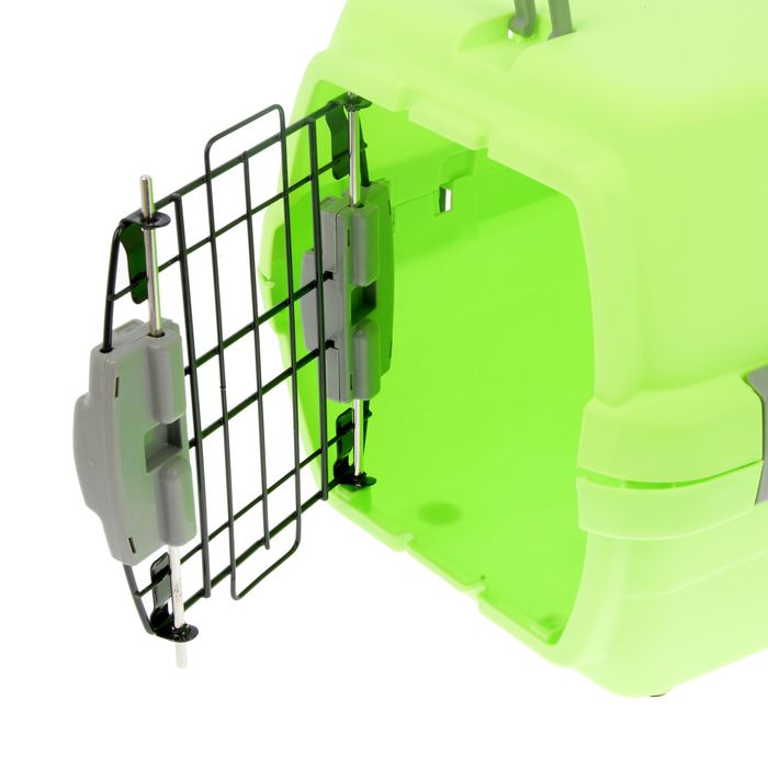 Переноска пластиковая "Неон", 48 х 32 х 29,5 см, вес животного до 5 кг, зеленая