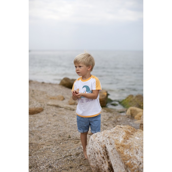 Футболка для мальчика, рост 86 см, цвет белый/кирпичный 24350011036.1D0_М