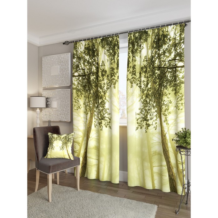 Фотошторы "Антрацибия", размер 150х260 см - 2 шт, блэкаут