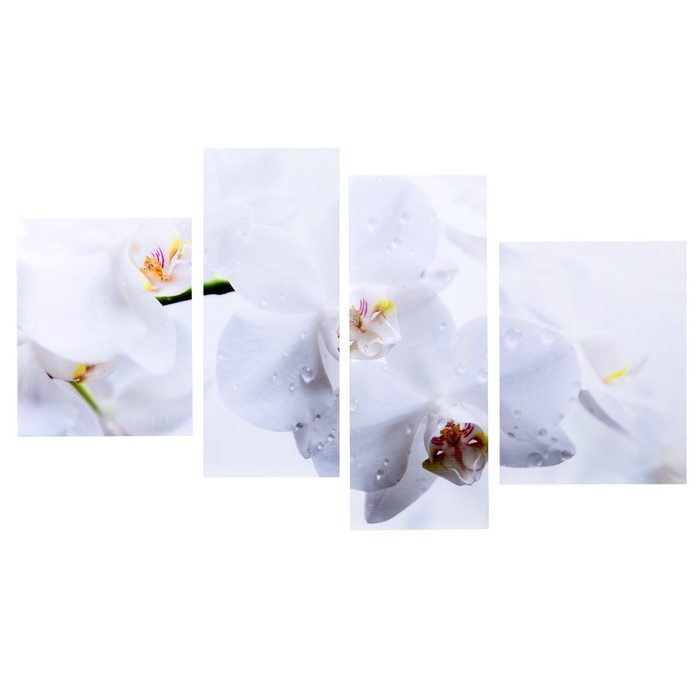 Модульная картина на подрамнике "Белые орхидеи", 50×40 см, 2 — 30×80 см, 42×55 см, 145×80