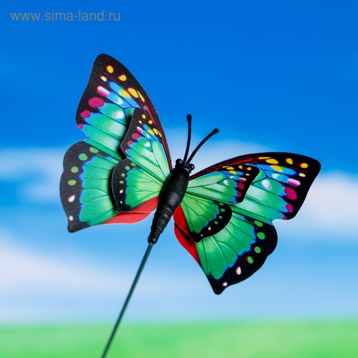 

Штекер "Бабочка Винсетти "6х7см/25см, МИКС