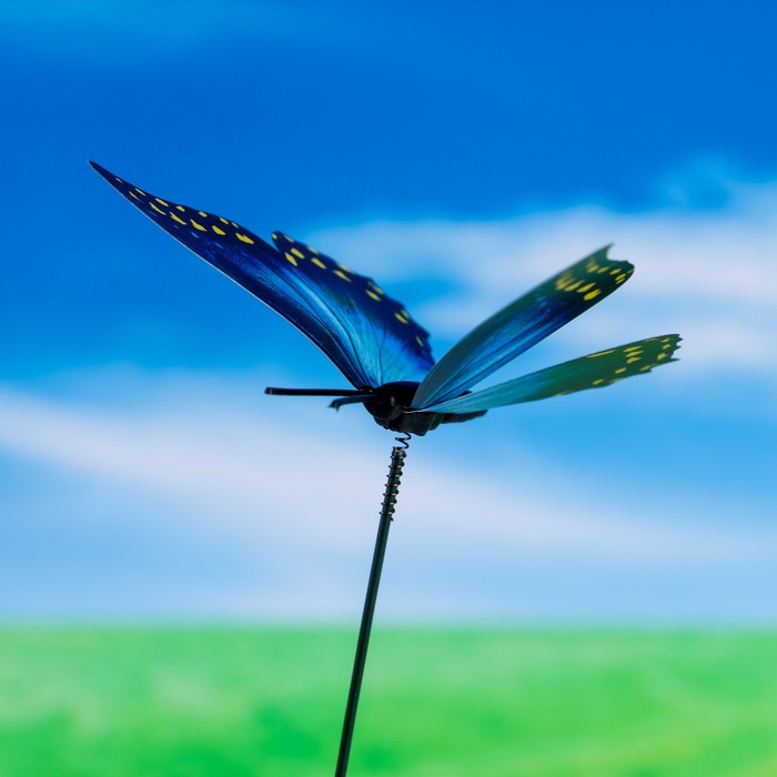 Штекер для комнатных растений "Бабочка" 7*8 см, длина 25см