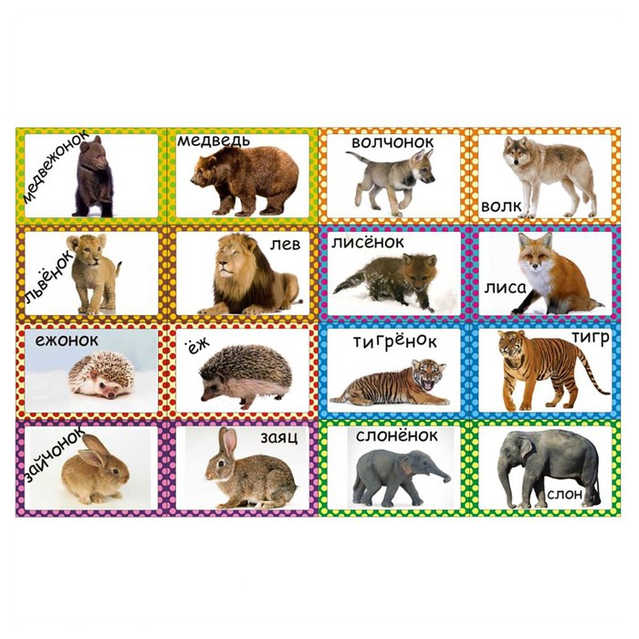 Набор магнитов "Мамы и детёныши. Часть 2" 16 шт., 5,2 × 7,8 см