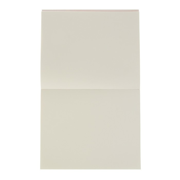 Альбом для каллиграфии В4 240*300 мм Clairefontaine Calligraphy 25 листов 130 г/м2 склейка 96439С