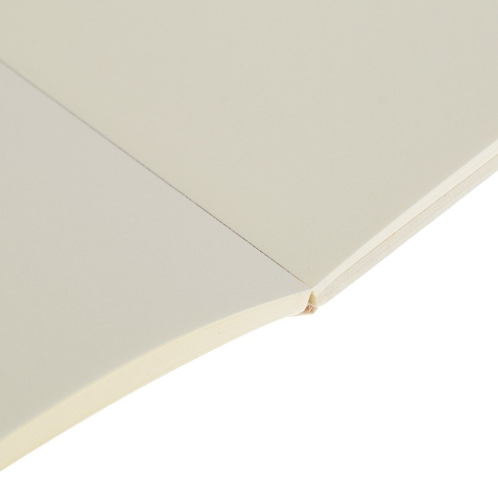 Альбом для каллиграфии В4 240*300 мм Clairefontaine Calligraphy 25 листов 130 г/м2 склейка 96439С