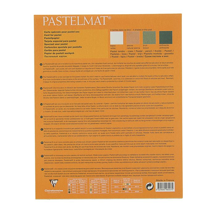 Альбом для пастели В4 240*300 мм Clairefontaine Pastelmat 12 листов склейка 360 г/м2, 4цв 96007С