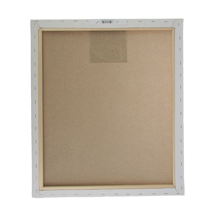 Холст на подрамнике хлопок 50%,полиэстер 50% акриловый грунт 2*60*70 см BelleArti Linea 66031