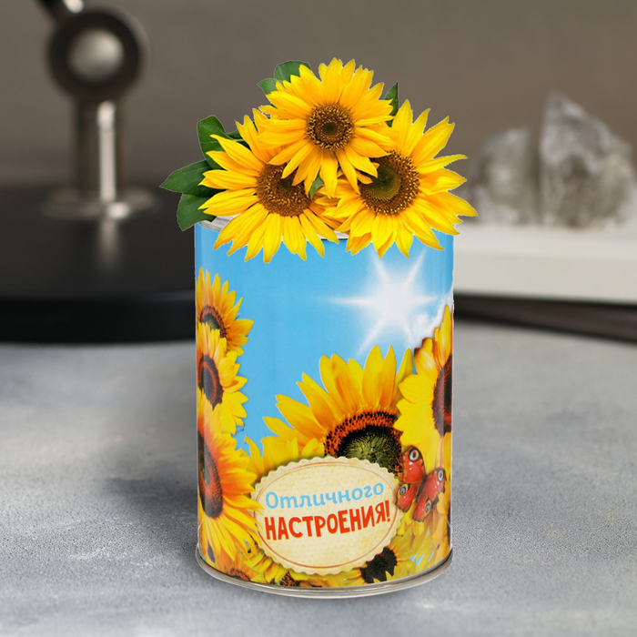 Растущий сувенир в баночке "С Днем Рождения", подсолнух