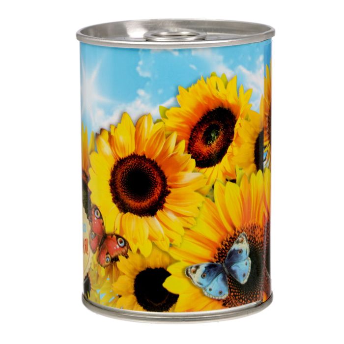 Растущий сувенир в баночке "С Днем Рождения", подсолнух