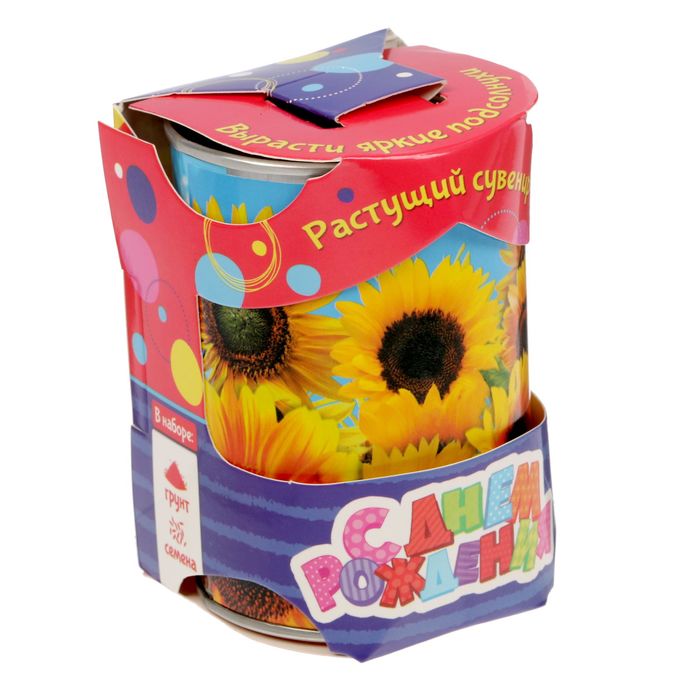 Растущий сувенир в баночке "С Днем Рождения", подсолнух