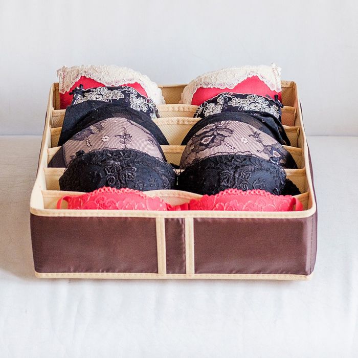 Органайзер для бюстгальтеров на 6 ячеек Costa-Rica