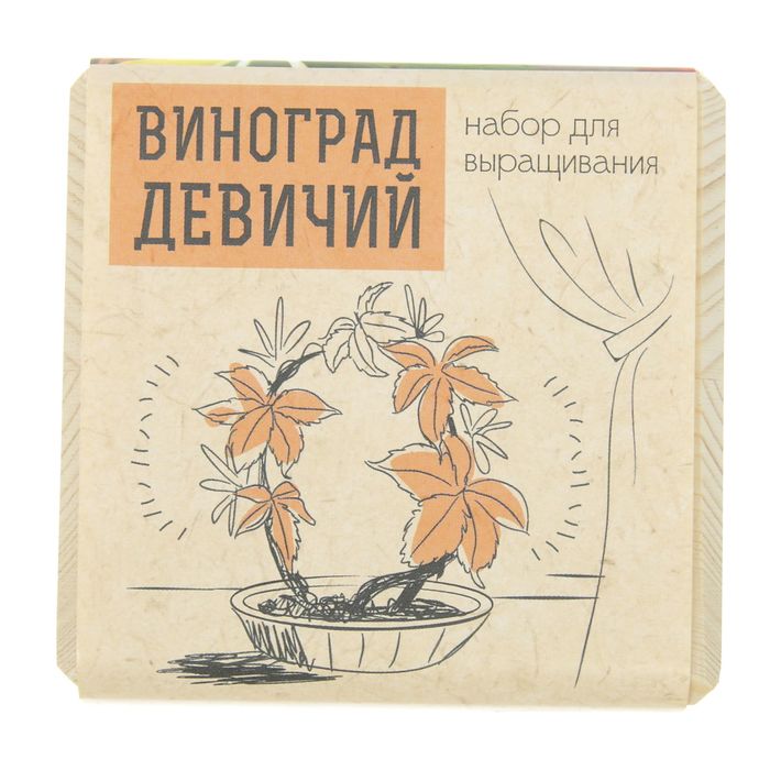 Растущая травка "Экокуб "Виноград девичий"