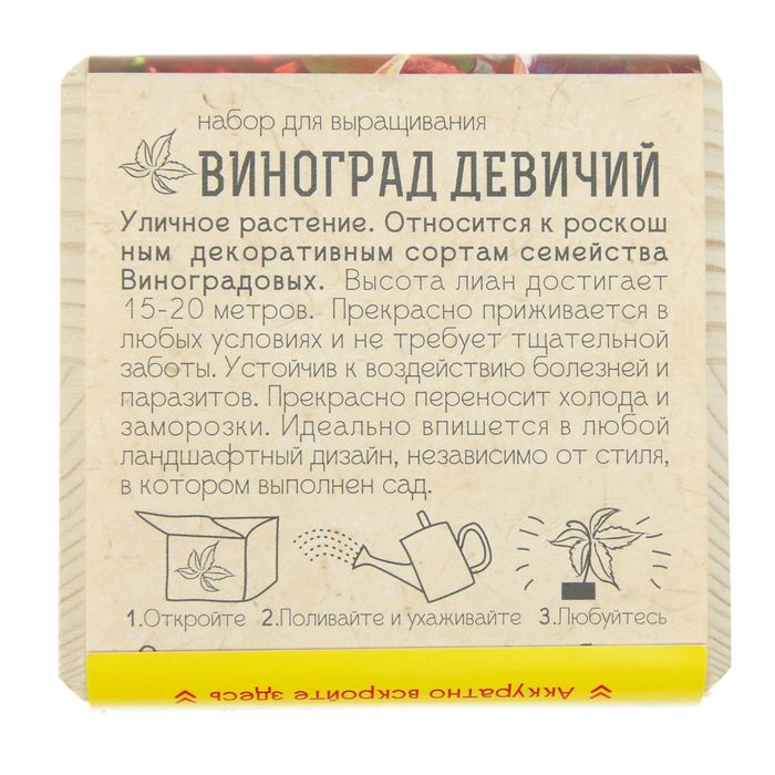 Растущая травка "Экокуб "Виноград девичий"