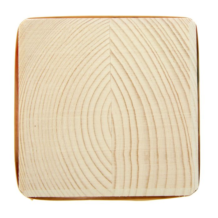 Растущая травка "Экокуб "Виноград девичий"