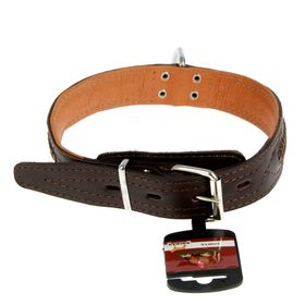 

Ошейник кожаный "Элита" тройной, с косой в загибку с полукольцом, 49-58 х 3 см, микс