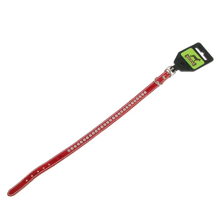 Ошейник кожаный двойной, со стразами, 24-28 х 1,2 см микс цветов