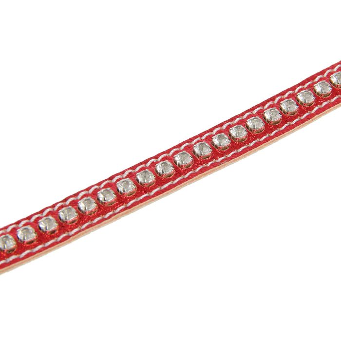 Ошейник кожаный двойной, со стразами, 24-28 х 1,2 см микс цветов