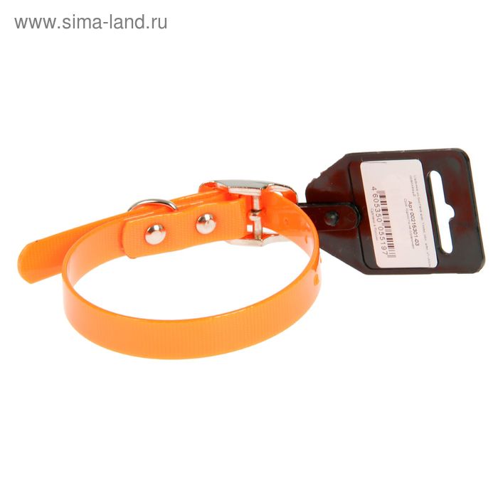 

Ошейник из биотана, 21-30 х 1,5 см, оранжевый