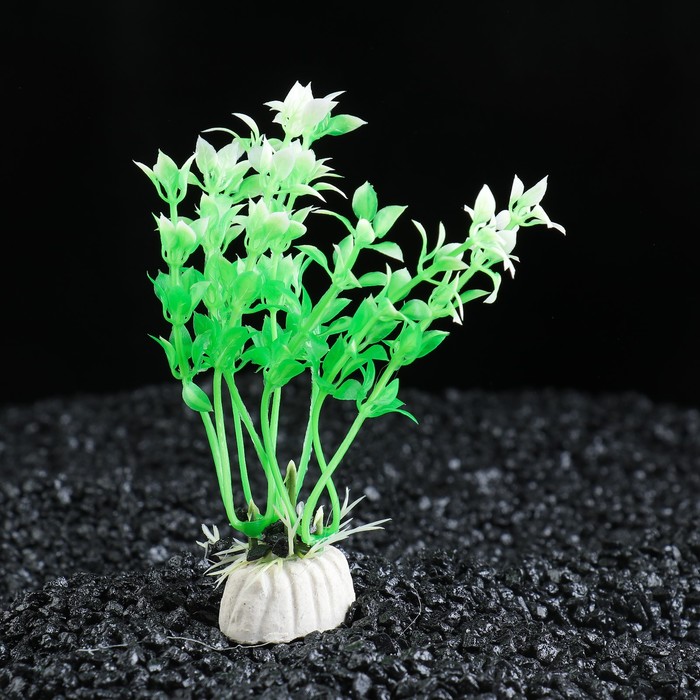 Растение искусственное аквариумное, 10 см