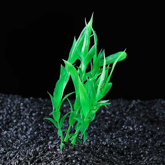 Растение искусственное аквариумное, до 20 см