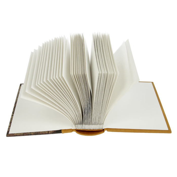 Фотоальбом малый 20 магн. листов "Средневековье-2" (нат. кожа) с худож.вставкой 16,5х21 см