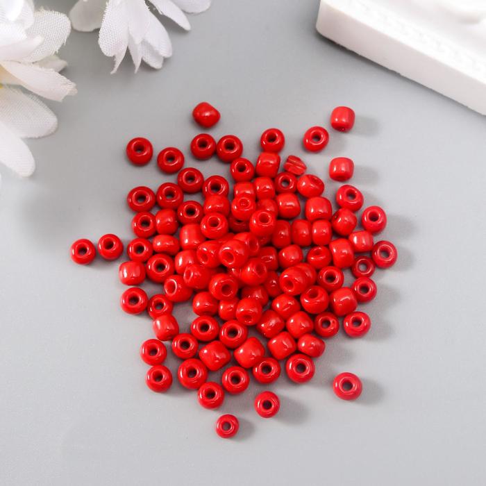 Бисер круглый 6/0 "Рябина" 20 гр