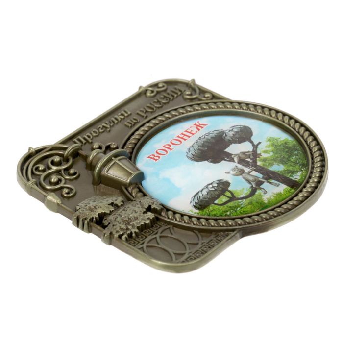 Магнит серия Прогулки по России «Воронеж», 6 х 6,1 см