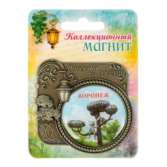 Магнит серия Прогулки по России «Воронеж», 6 х 6,1 см
