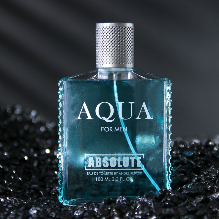 Туалетная вода мужская Absolute Aqua, 100 мл